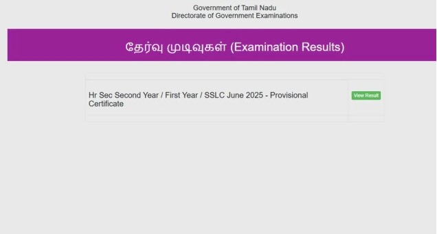 TN Board Students Checking 2025 Supplementary Results Online